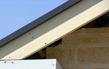 Trecastle fascia repairs