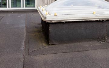 disadvantages of Trecastle flat roofs