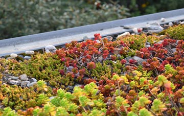 the cost of Trecastle green roof installation