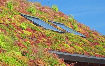 Trecastle living roof systems