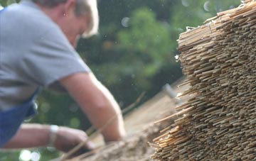 professional Trecastle thatchers