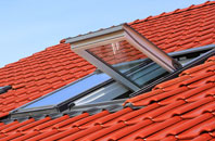 Trecastle roof window