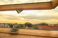 rated Trecastle roof window companies